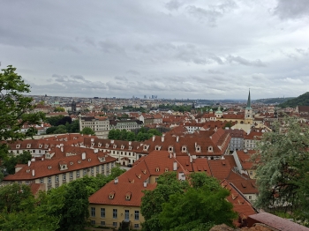 20250528_132219