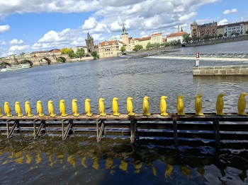 20250529_154158