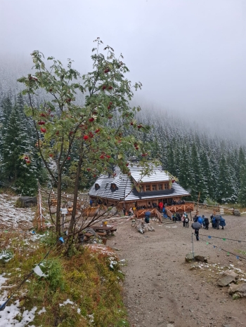 IMG-20250930-WA0009