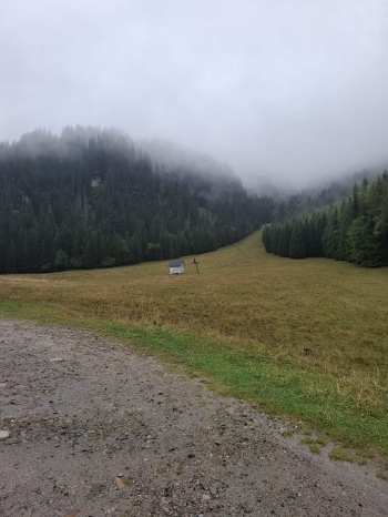IMG-20251008-WA0033