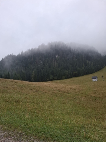 IMG-20251008-WA0034