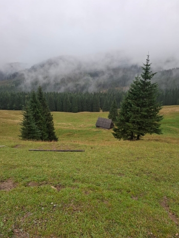 IMG-20251008-WA0038