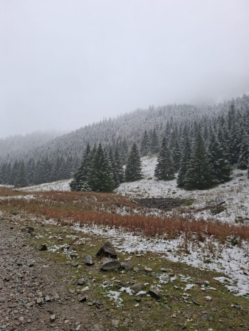 IMG-20251008-WA0046