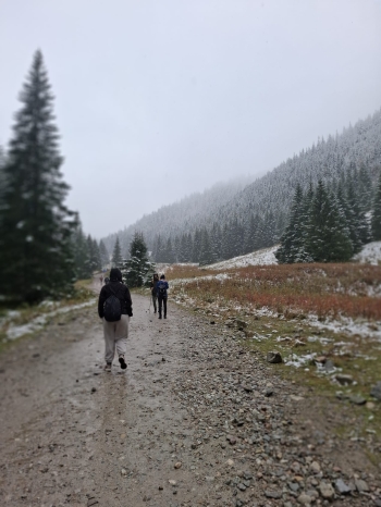 IMG-20251008-WA0047