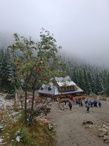 IMG-20251008-WA0049