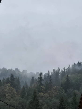 IMG-20251008-WA0052