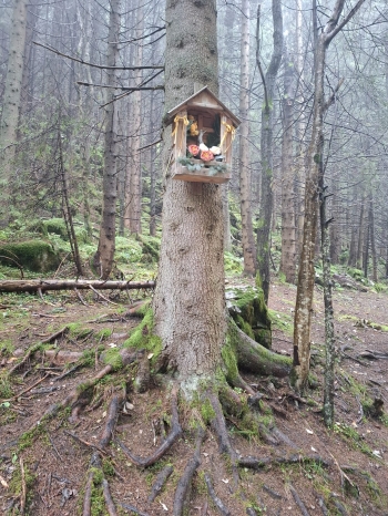 IMG-20251008-WA0051