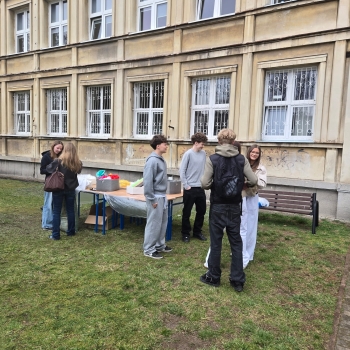 WhatsApp Image 2026-03-20 at 10.40.29.jpeg