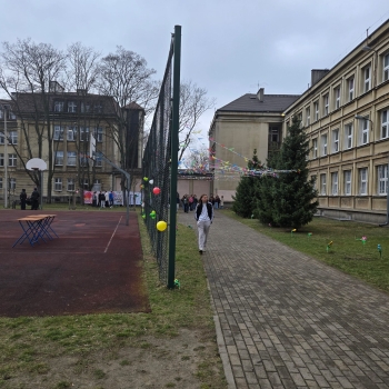 WhatsApp Image 2026-03-20 at 10.49.39.jpeg