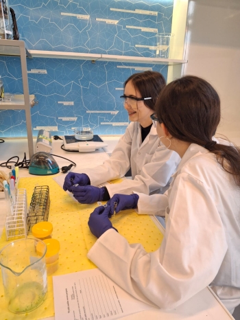 WhatsApp Image 2026-04-14 at 06.35.22 (1).jpeg