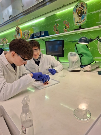 WhatsApp Image 2026-04-14 at 06.35.23 (1).jpeg