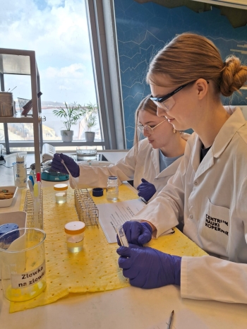 WhatsApp Image 2026-04-14 at 06.35.22.jpeg