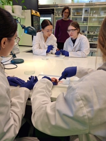 WhatsApp Image 2026-04-14 at 06.35.23.jpeg