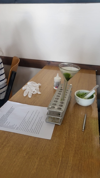 WhatsApp Image 2026-04-24 at 17.51.36 (1).jpeg