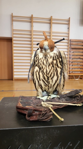 WhatsApp Image 2026-04-24 at 17.51.36 (3).jpeg