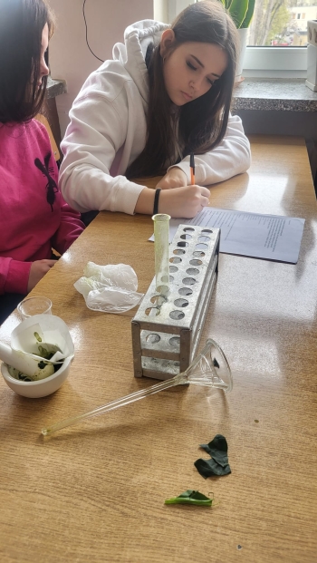 WhatsApp Image 2026-04-24 at 17.51.36.jpeg