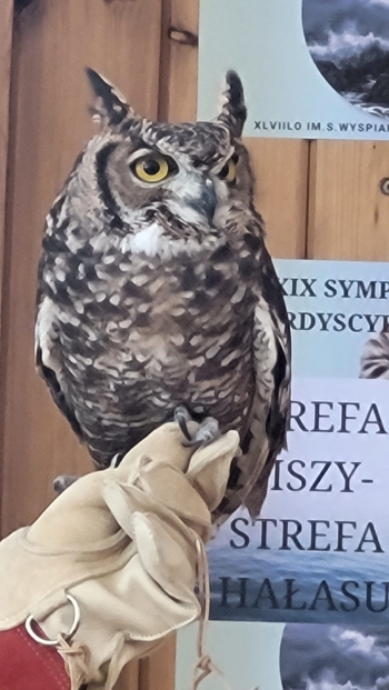 WhatsApp Image 2026-04-24 at 17.51.39 (5).jpeg