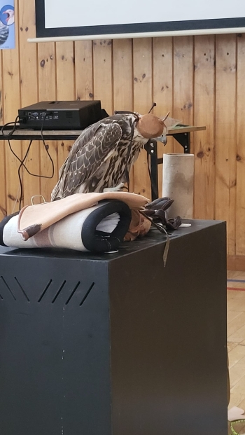 WhatsApp Image 2026-04-24 at 17.51.40 (1).jpeg