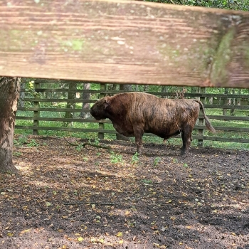 WhatsApp Image 2026-09-21 at 12.05.03 (2).jpeg